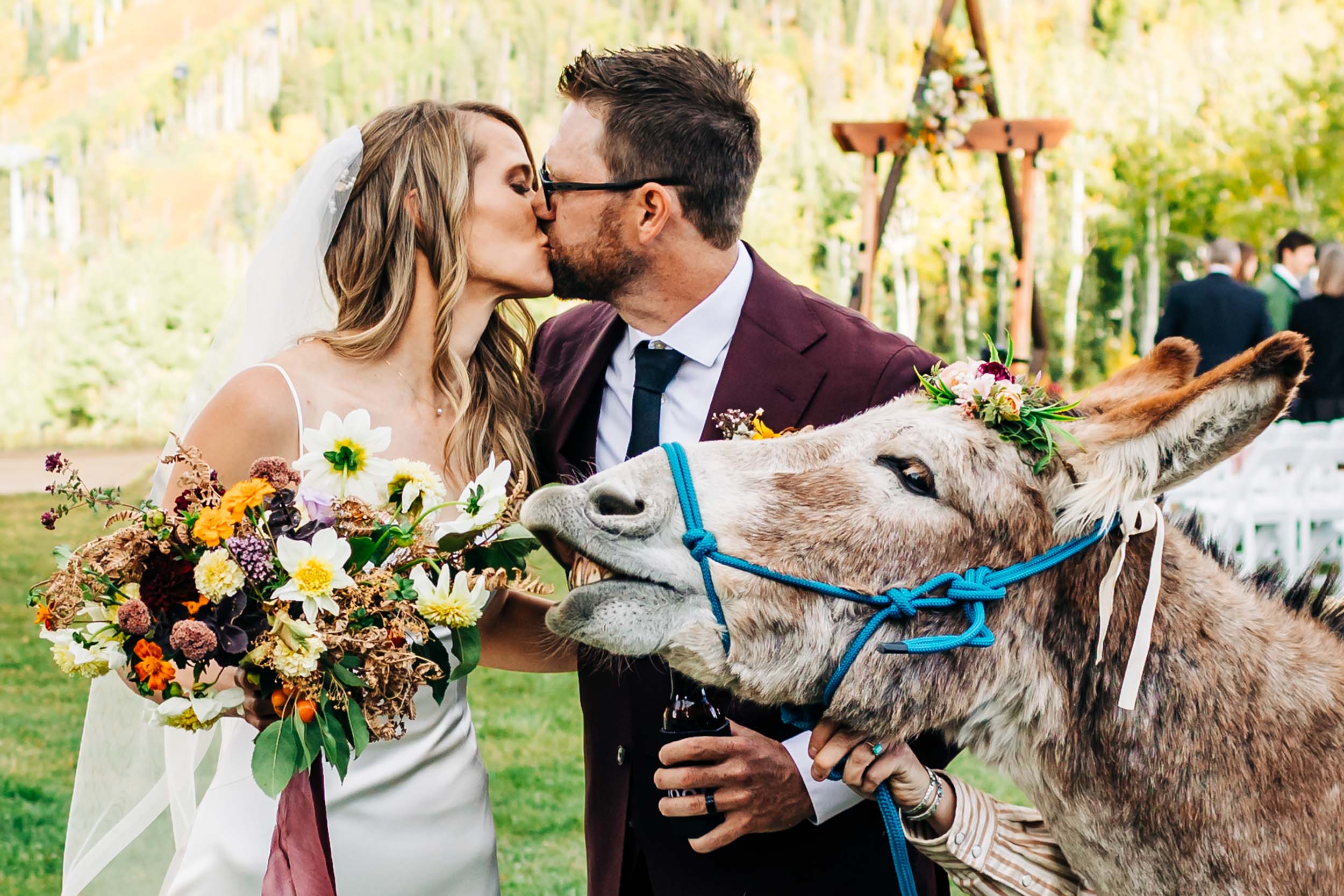 donkey eating bride's bouquet