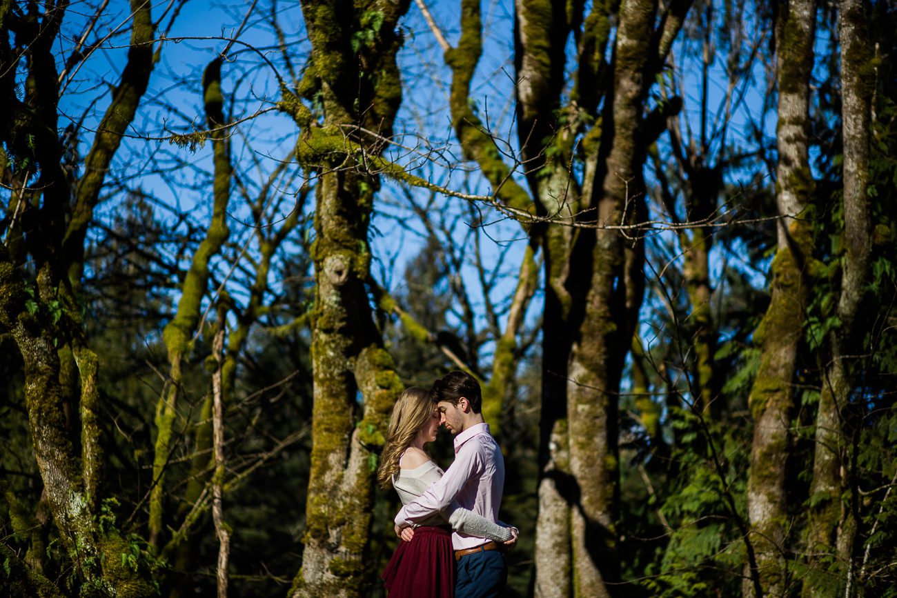 Engagement Photos near Seattle Washington