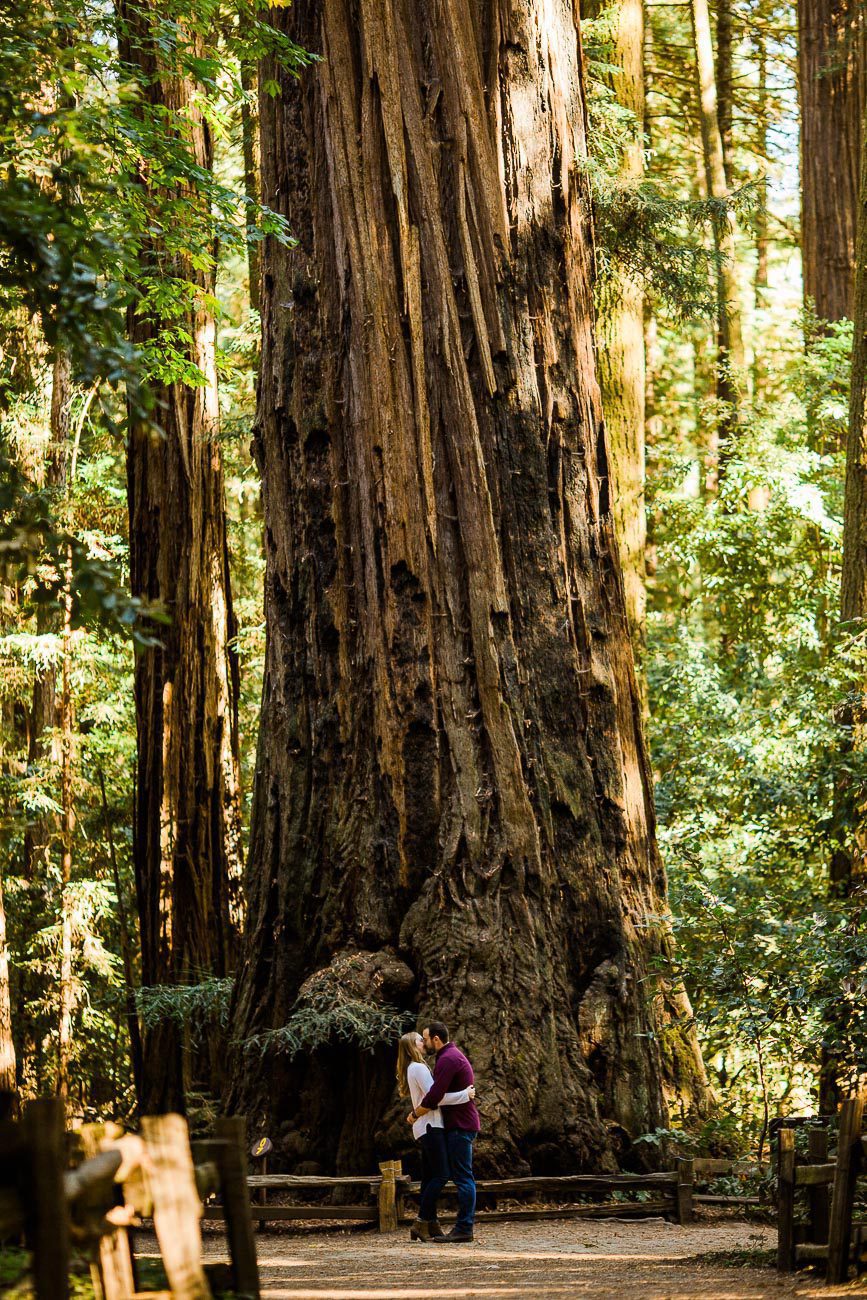 California Redwoods Engagement Photos