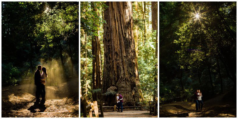 Redwoods Engagement Photos