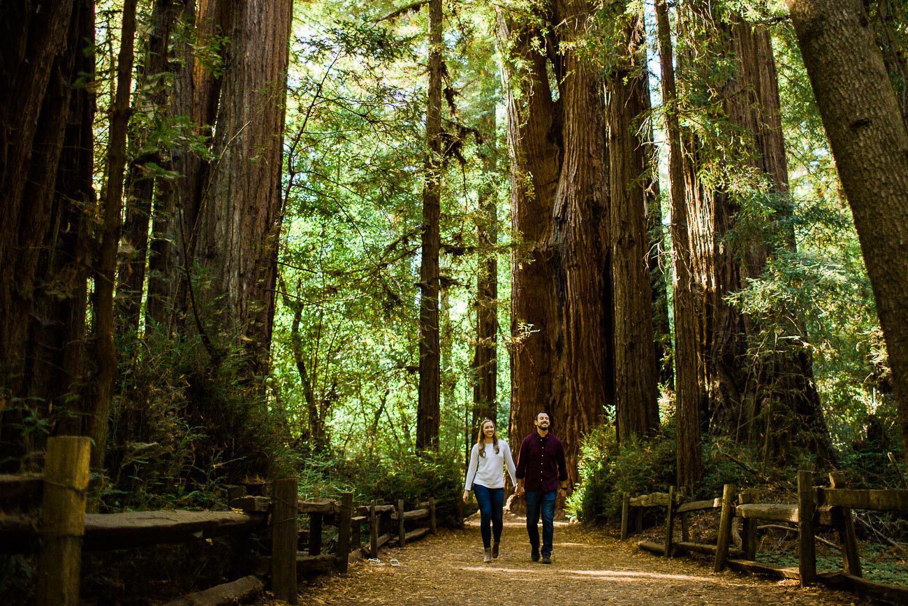 Henry Cowell Redwoods State Park Engagement Photos