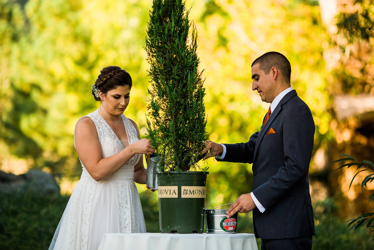 Planting a tree during wedding ceremony