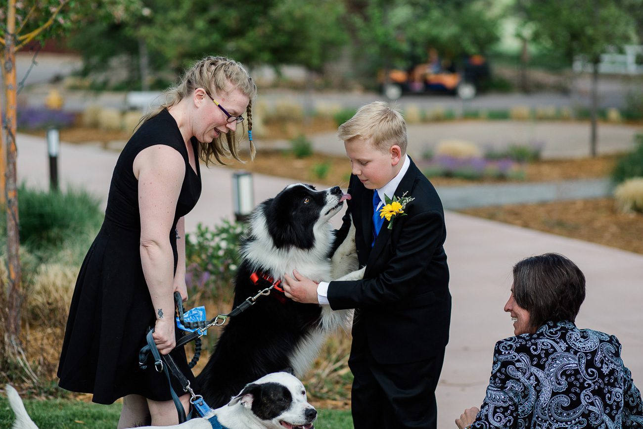 Dog at Wedding 