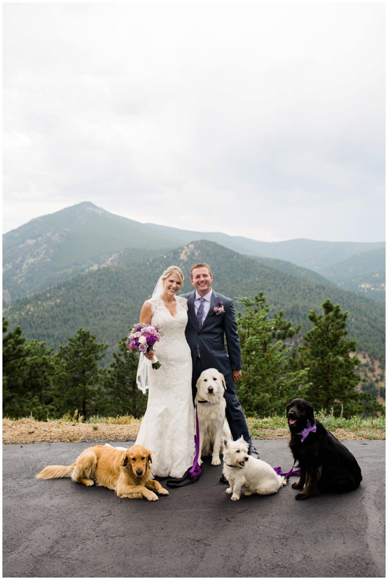 Wedding photo with dogs