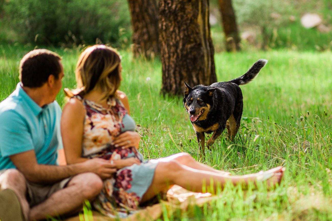 Denver Maternity Photos with Dog
