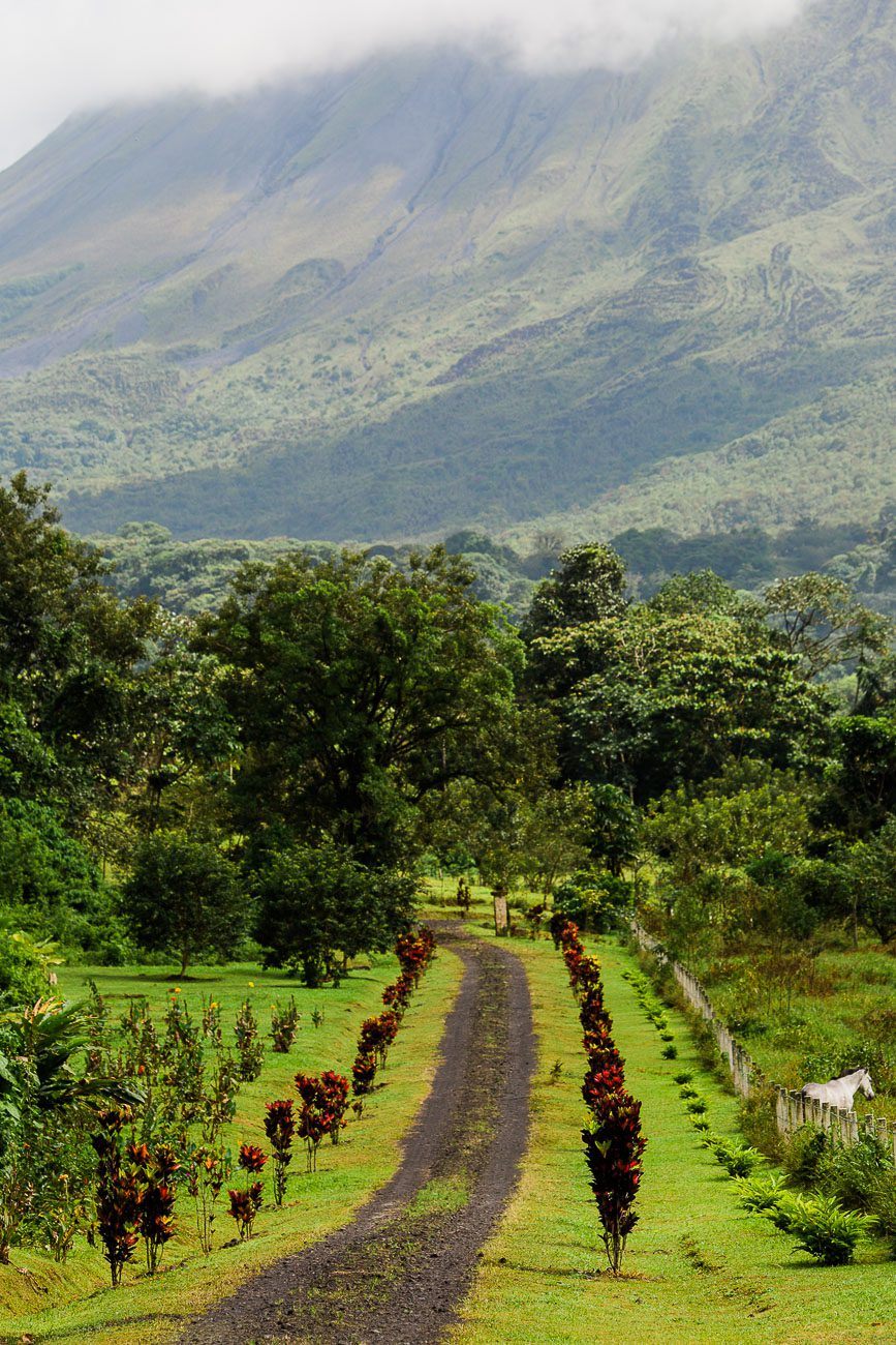 View from Niru Rainforest Suites Costa Rica