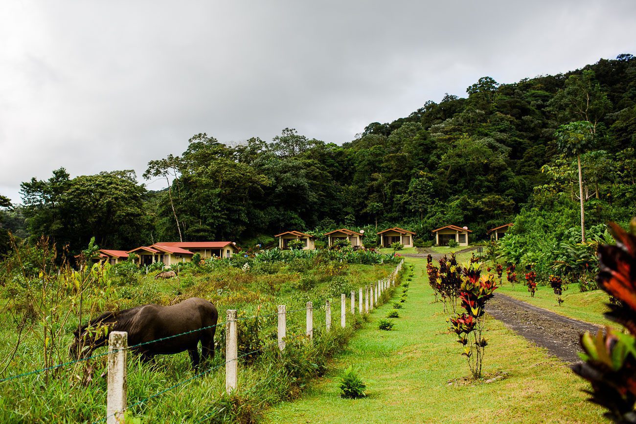 Niru Rainforest Suites Costa Rica