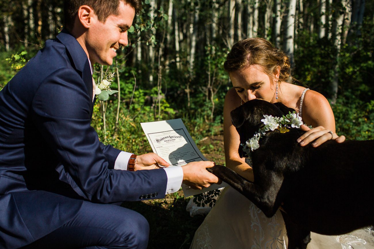 Dog signing marriage license during elopement