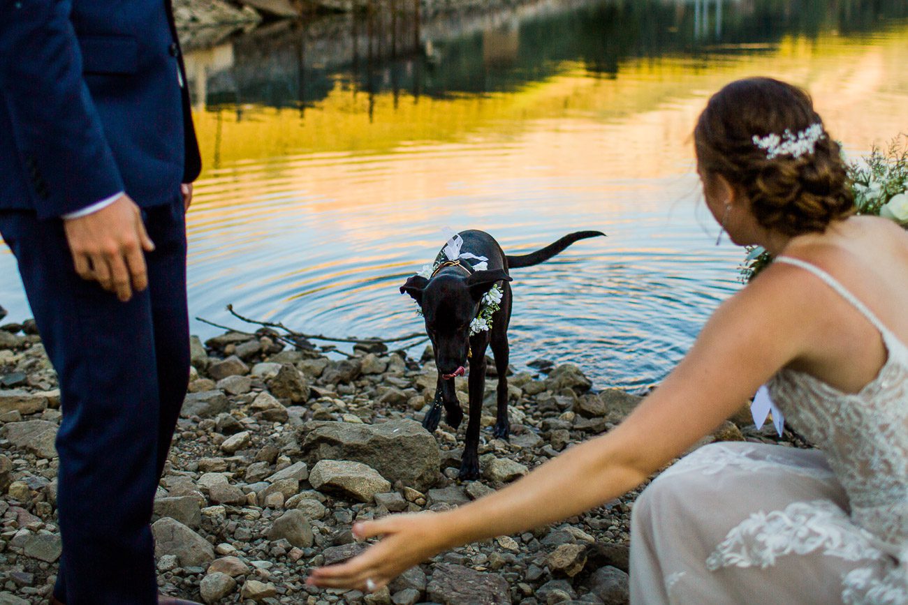 Trout Lake wedding photo with dog
