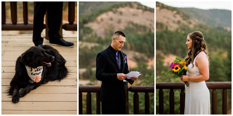 Colorado wedding with dog