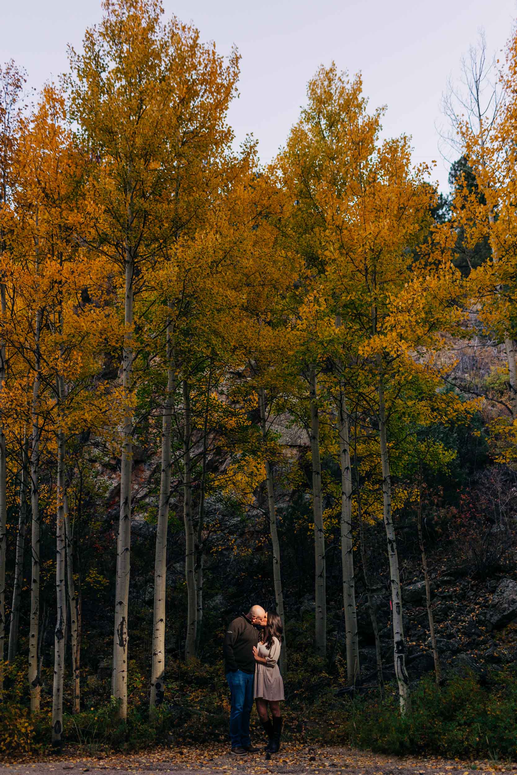 fall engagement image with Colorado aspen trees