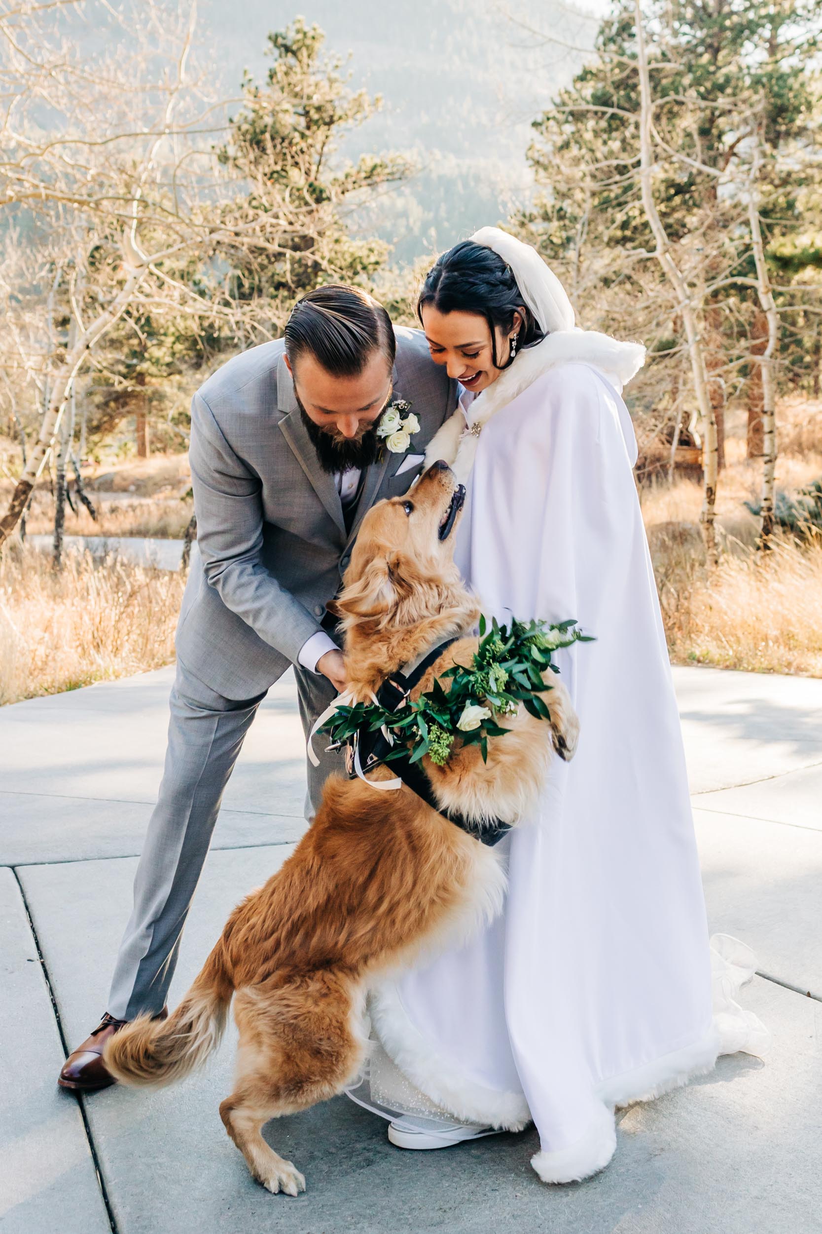 dog excited to greet couple after wedding